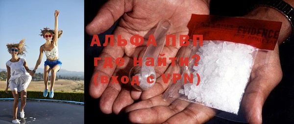apvp Белокуриха