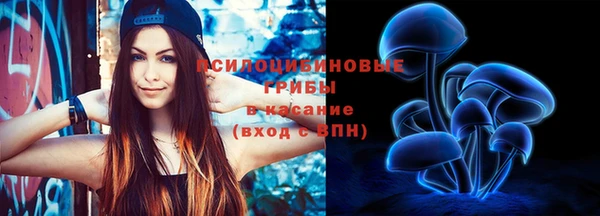 стаф Беломорск