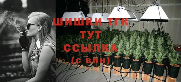 шишки Богородск