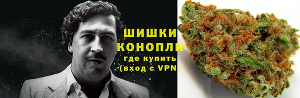 apvp Белокуриха