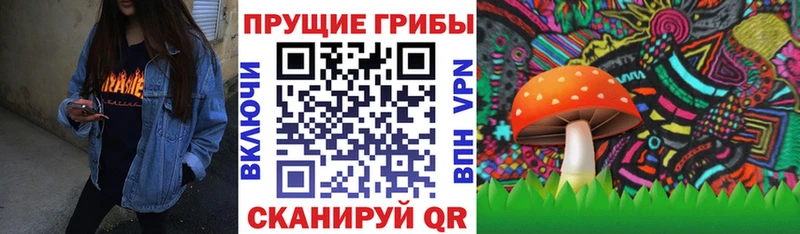 Псилоцибиновые грибы Psilocybine cubensis  omg как зайти  Реж 